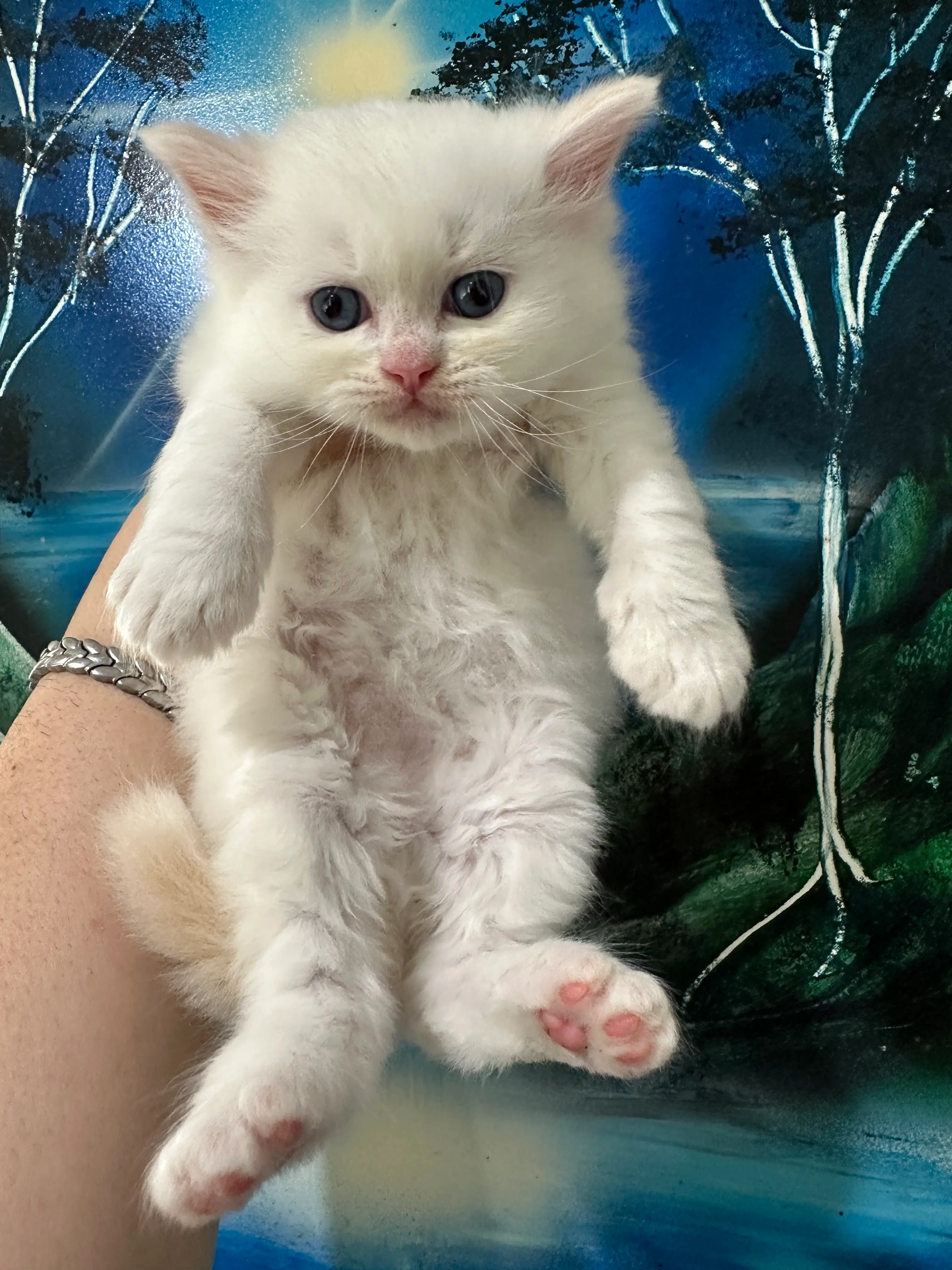 queens gallery image