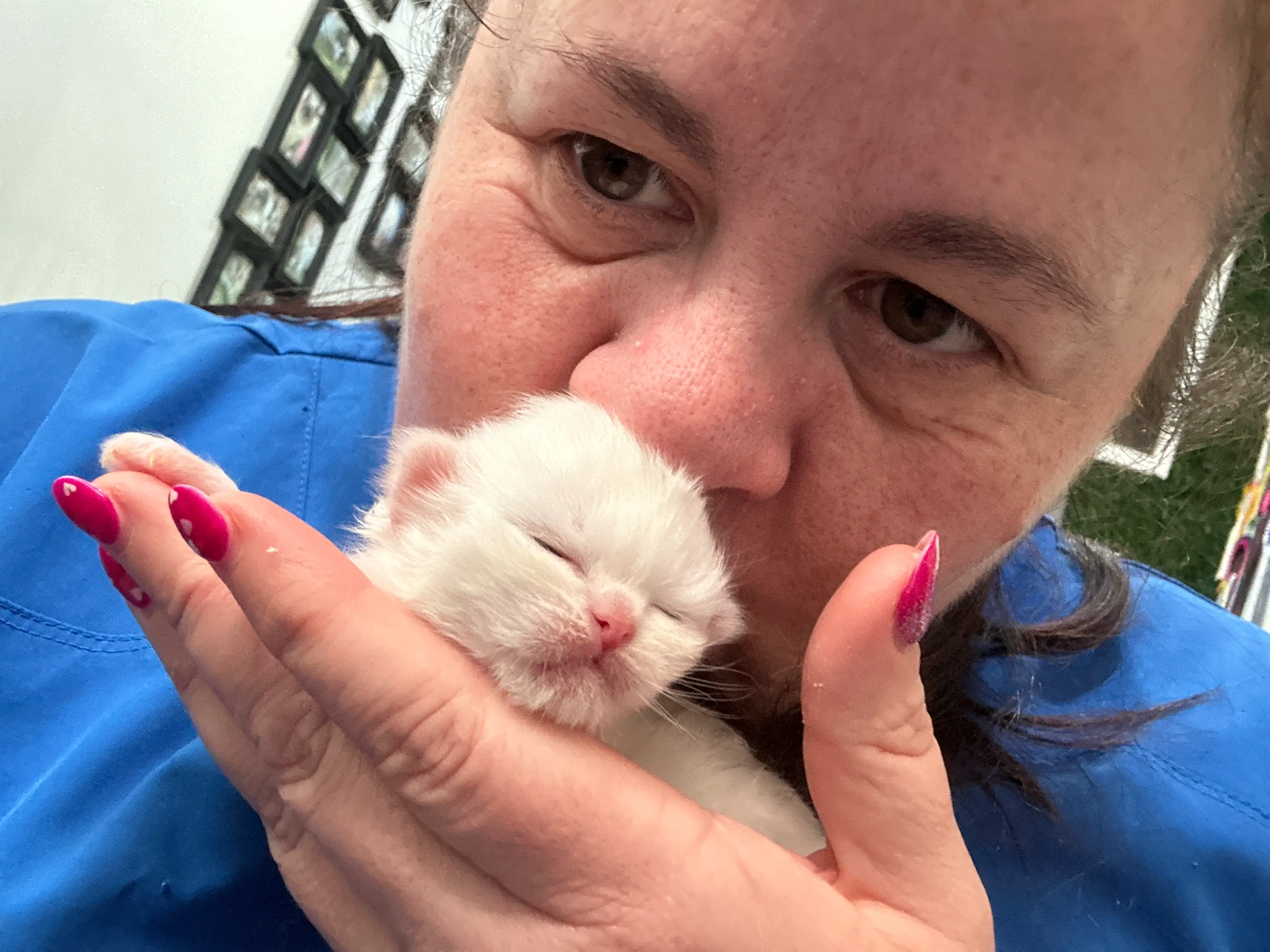 queens gallery image