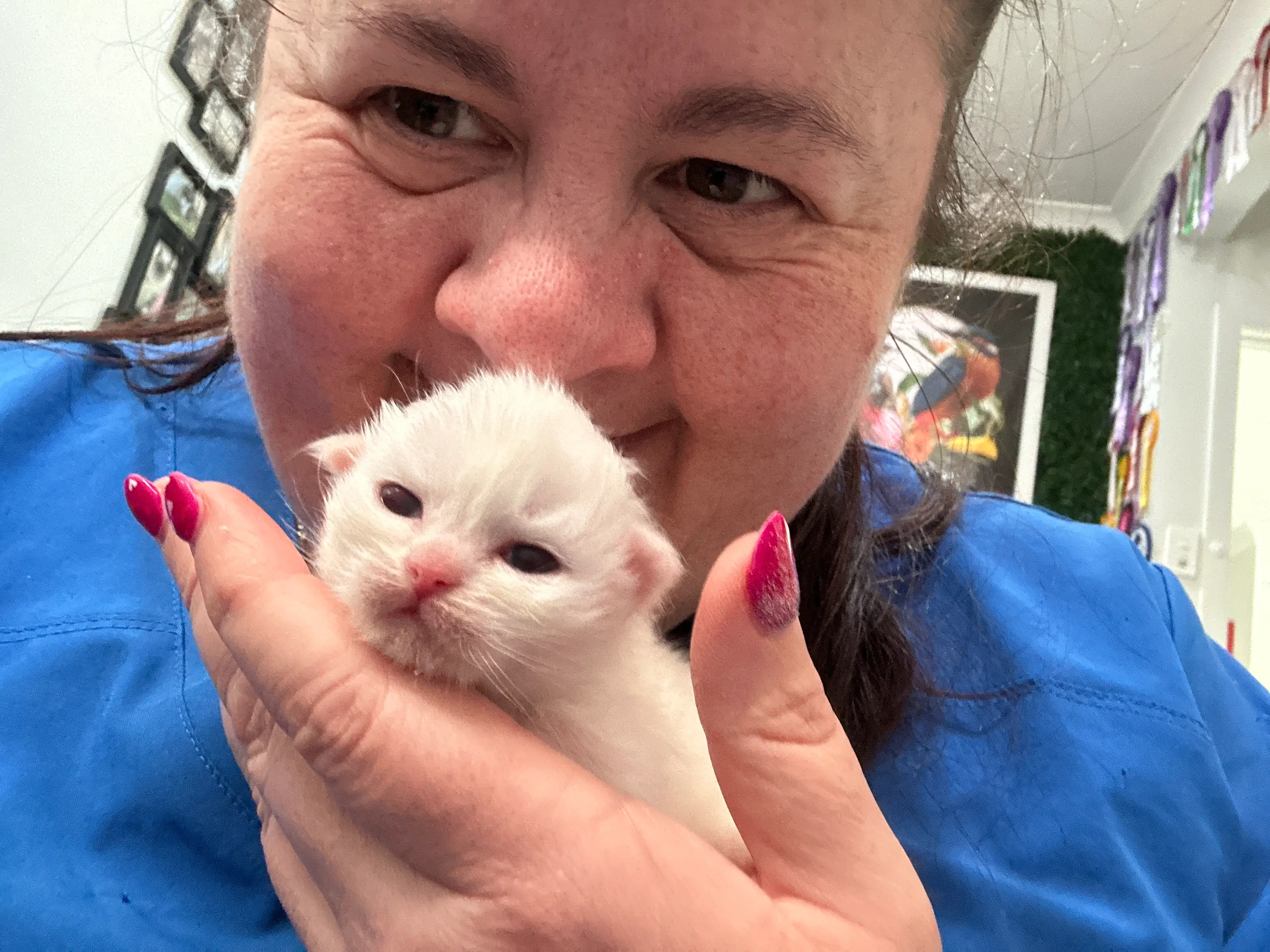 queens gallery image