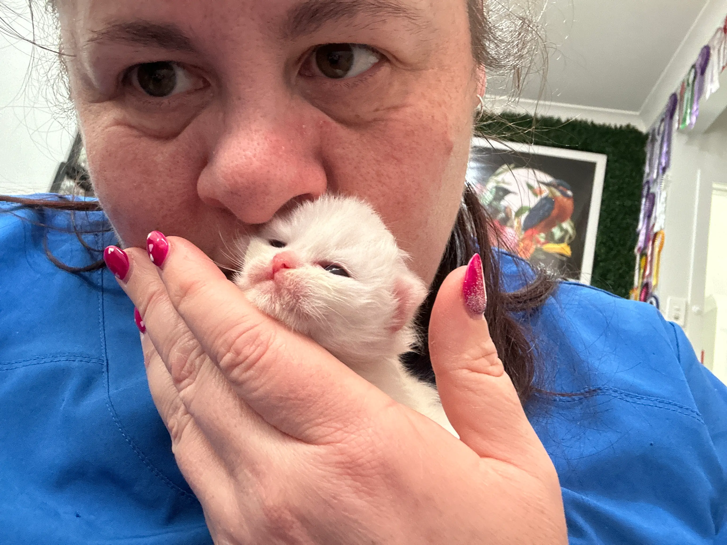 queens gallery image