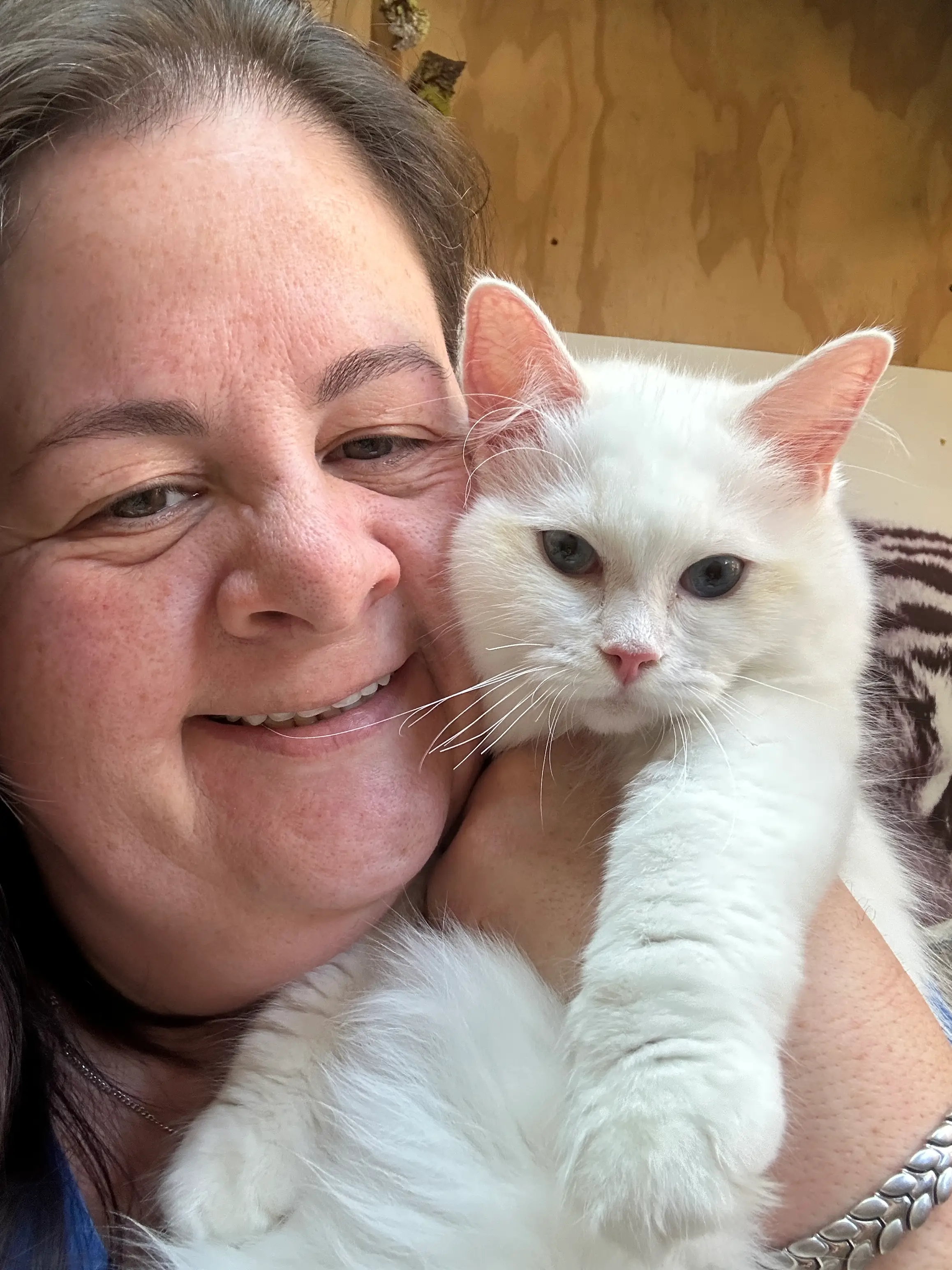 queens gallery image