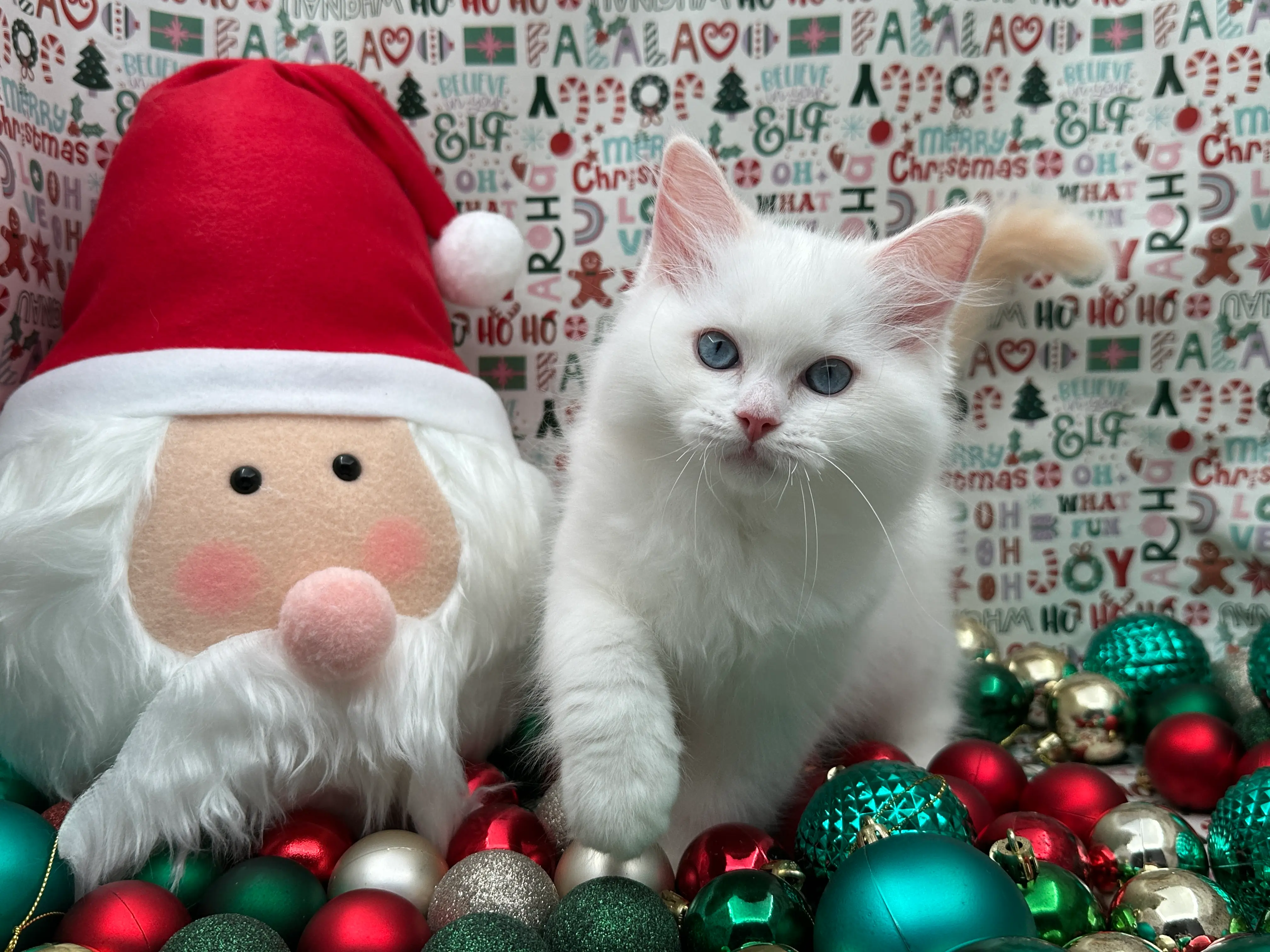 queens gallery image