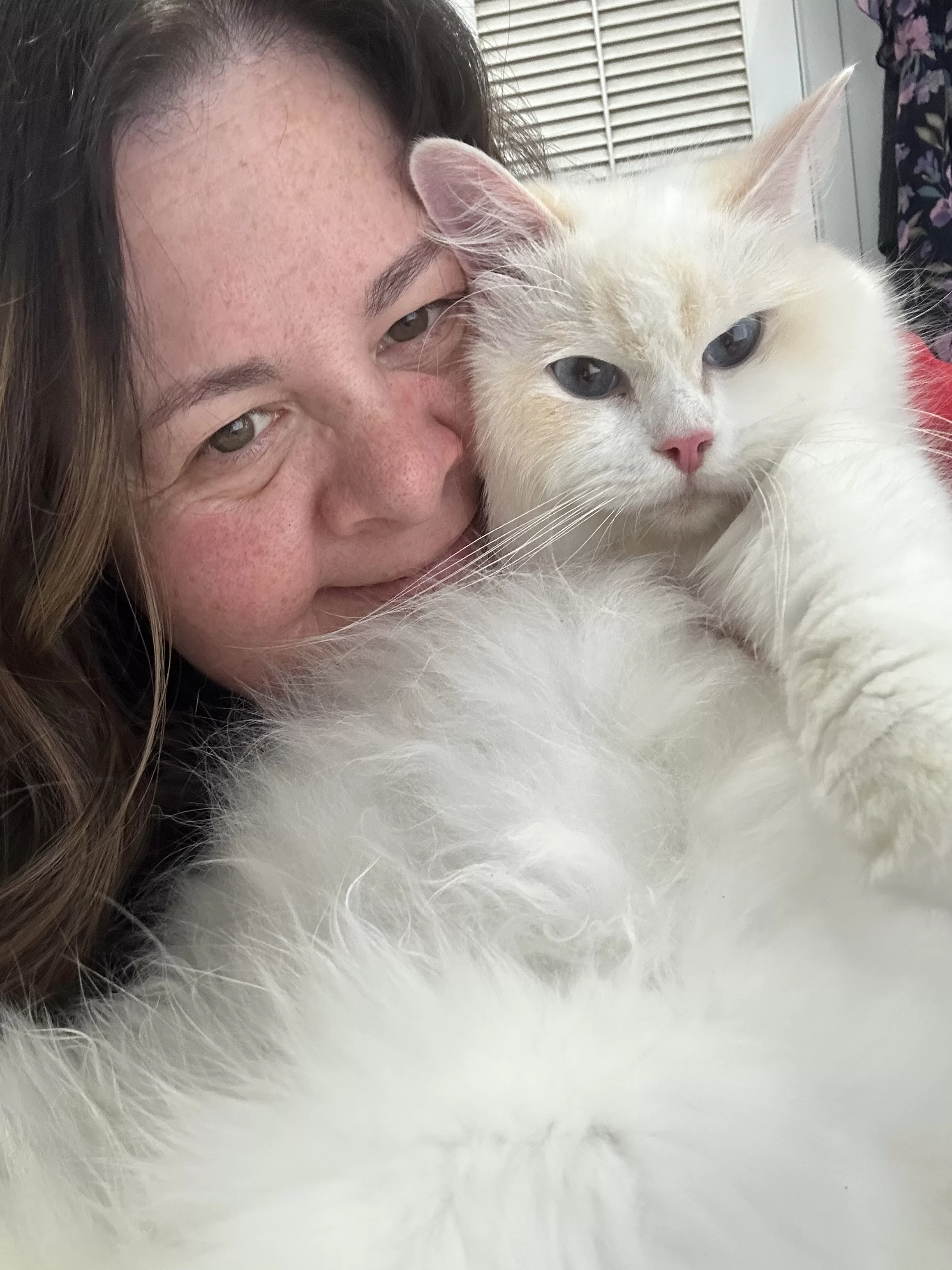 queens gallery image