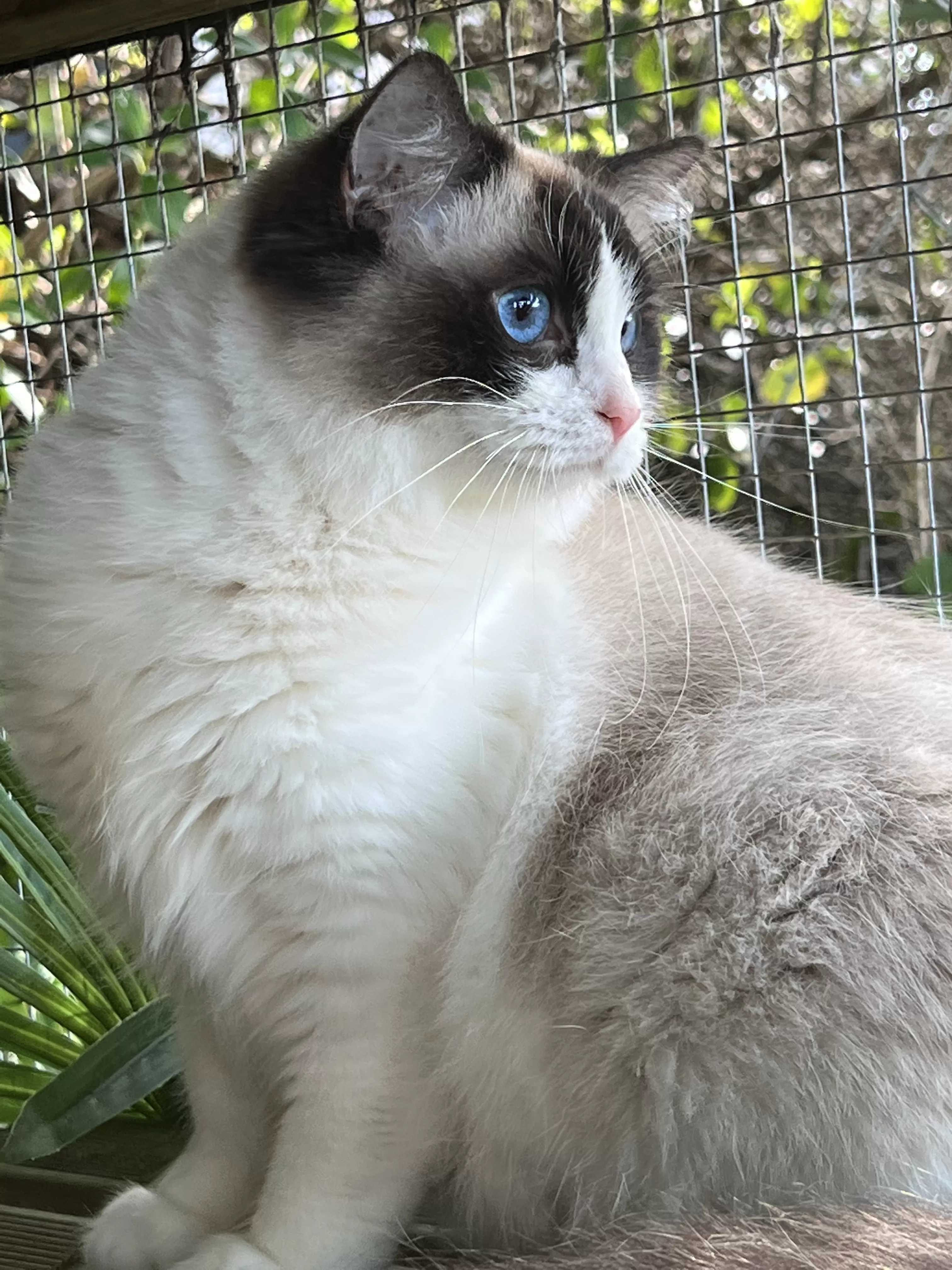 queens gallery image