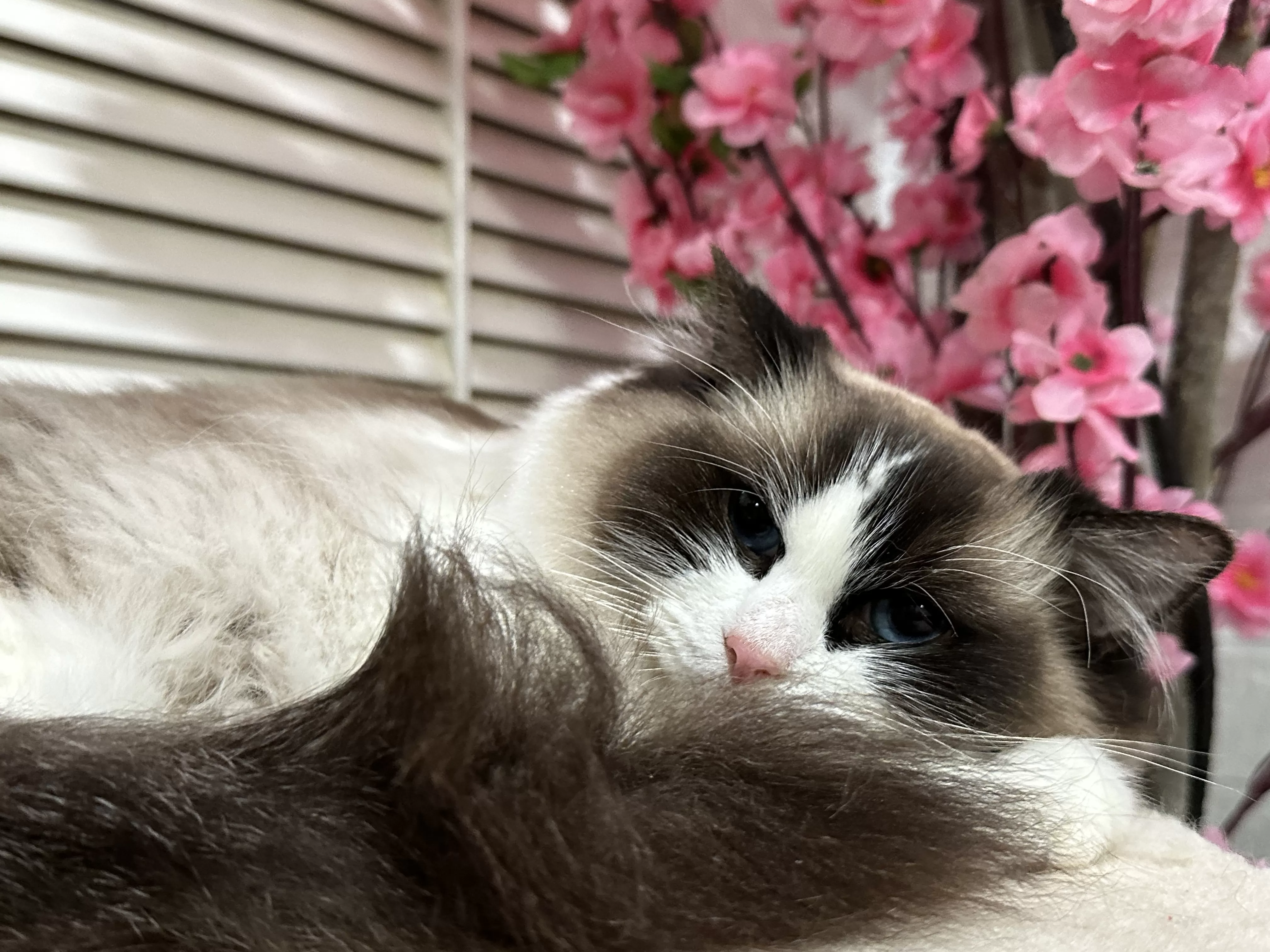 queens gallery image