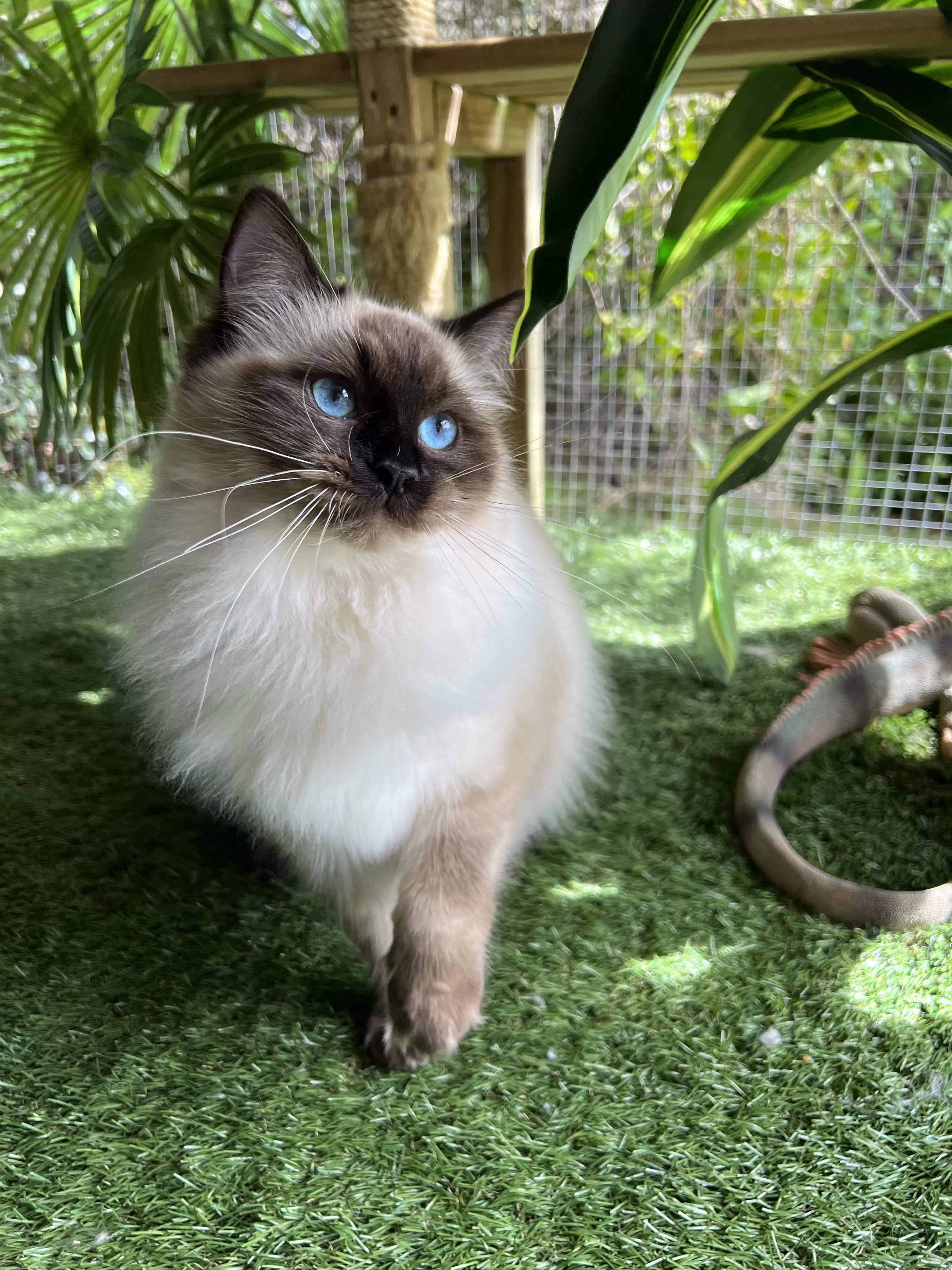 queens gallery image