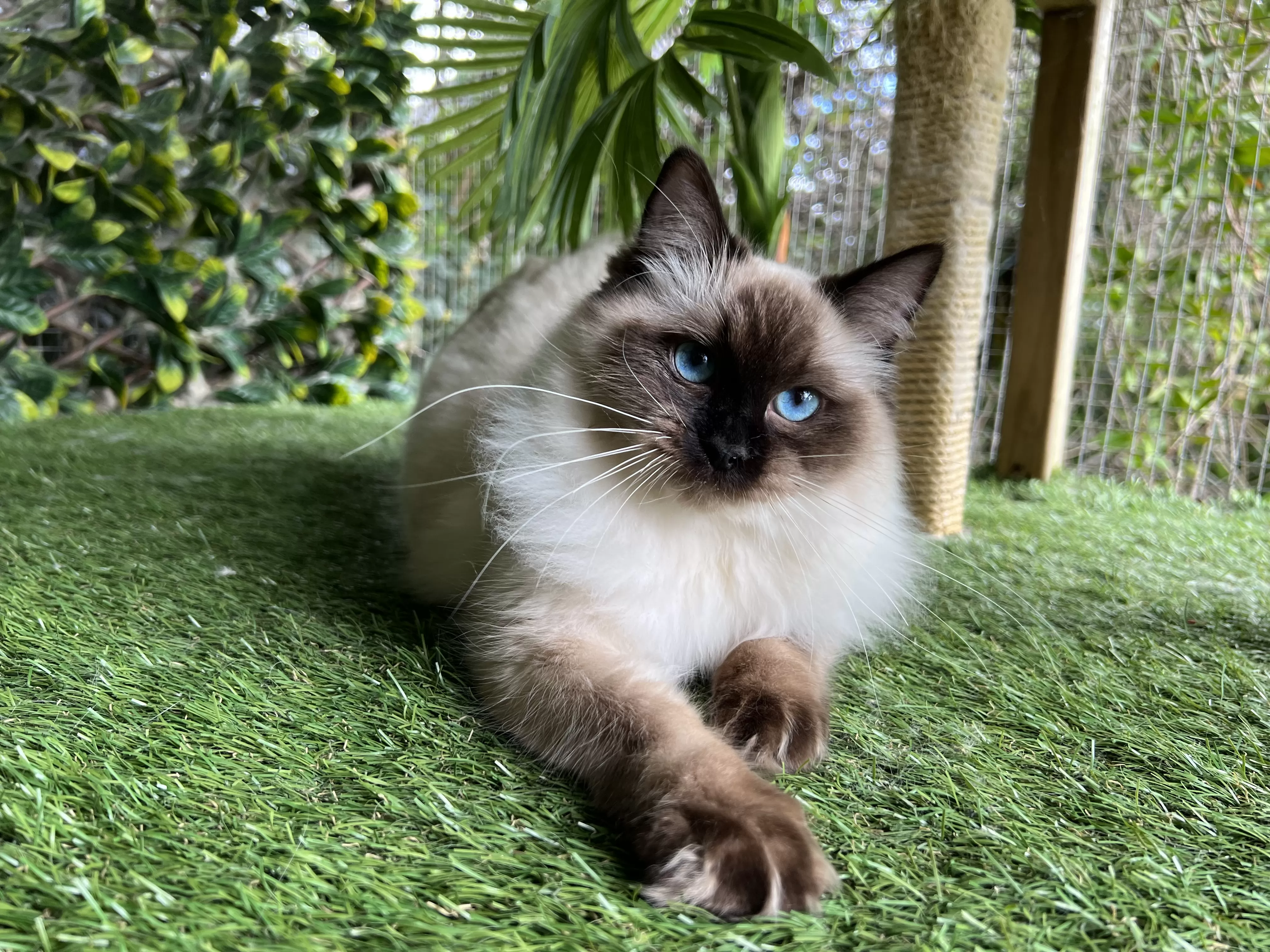 queens gallery image