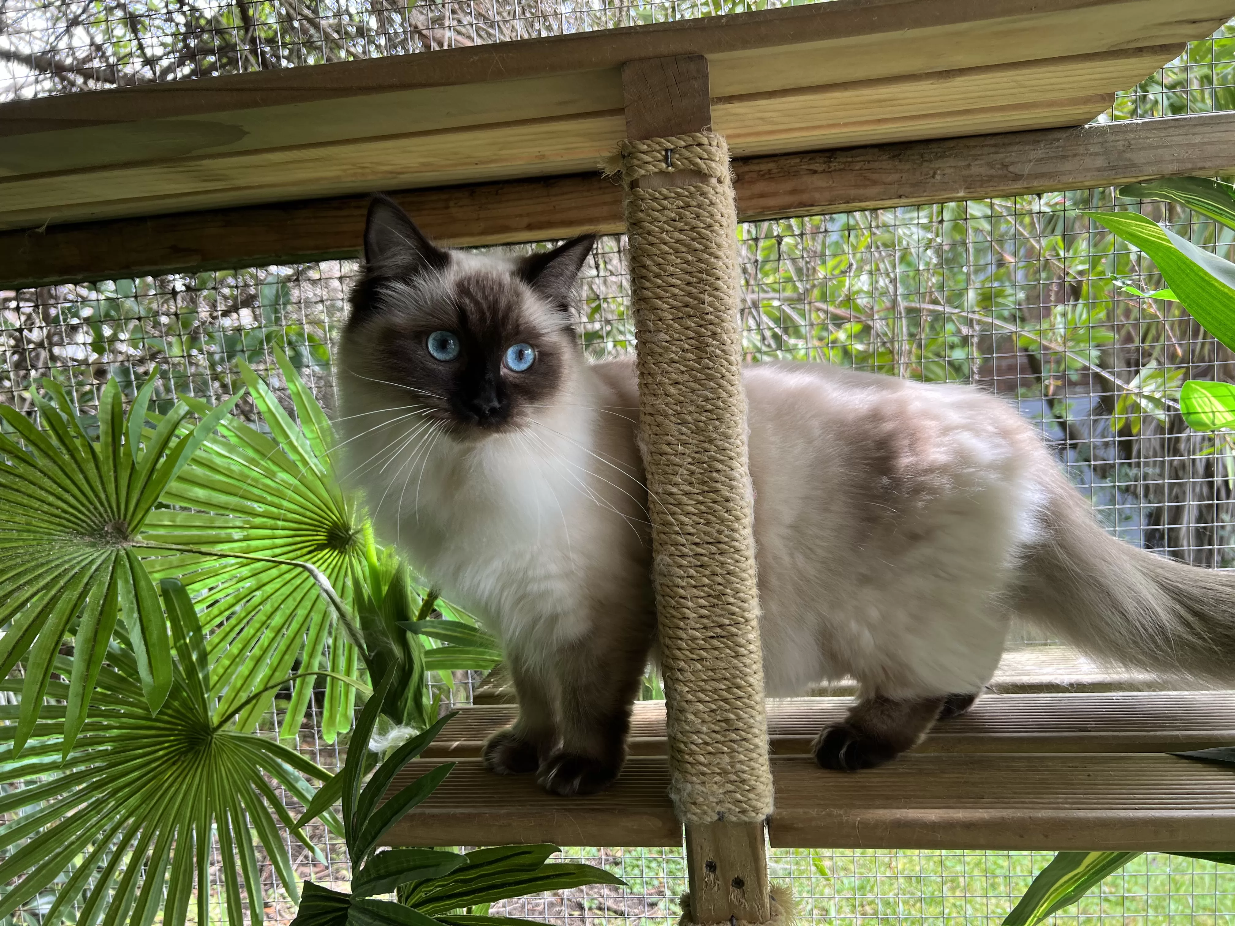 queens gallery image