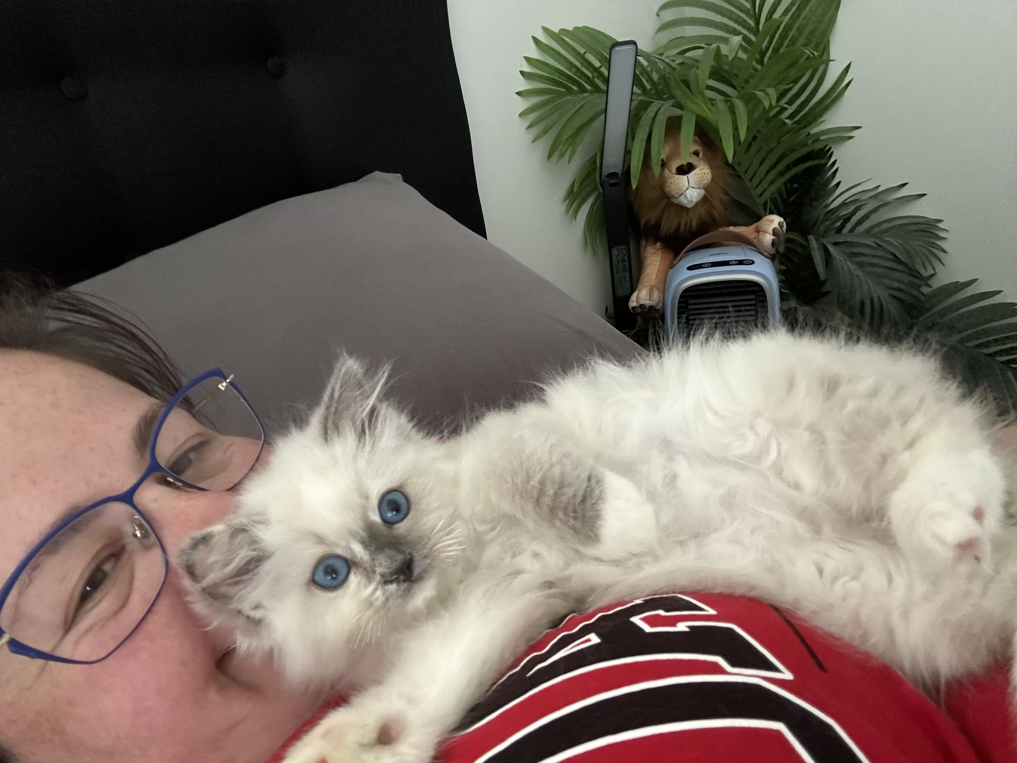 queens gallery image