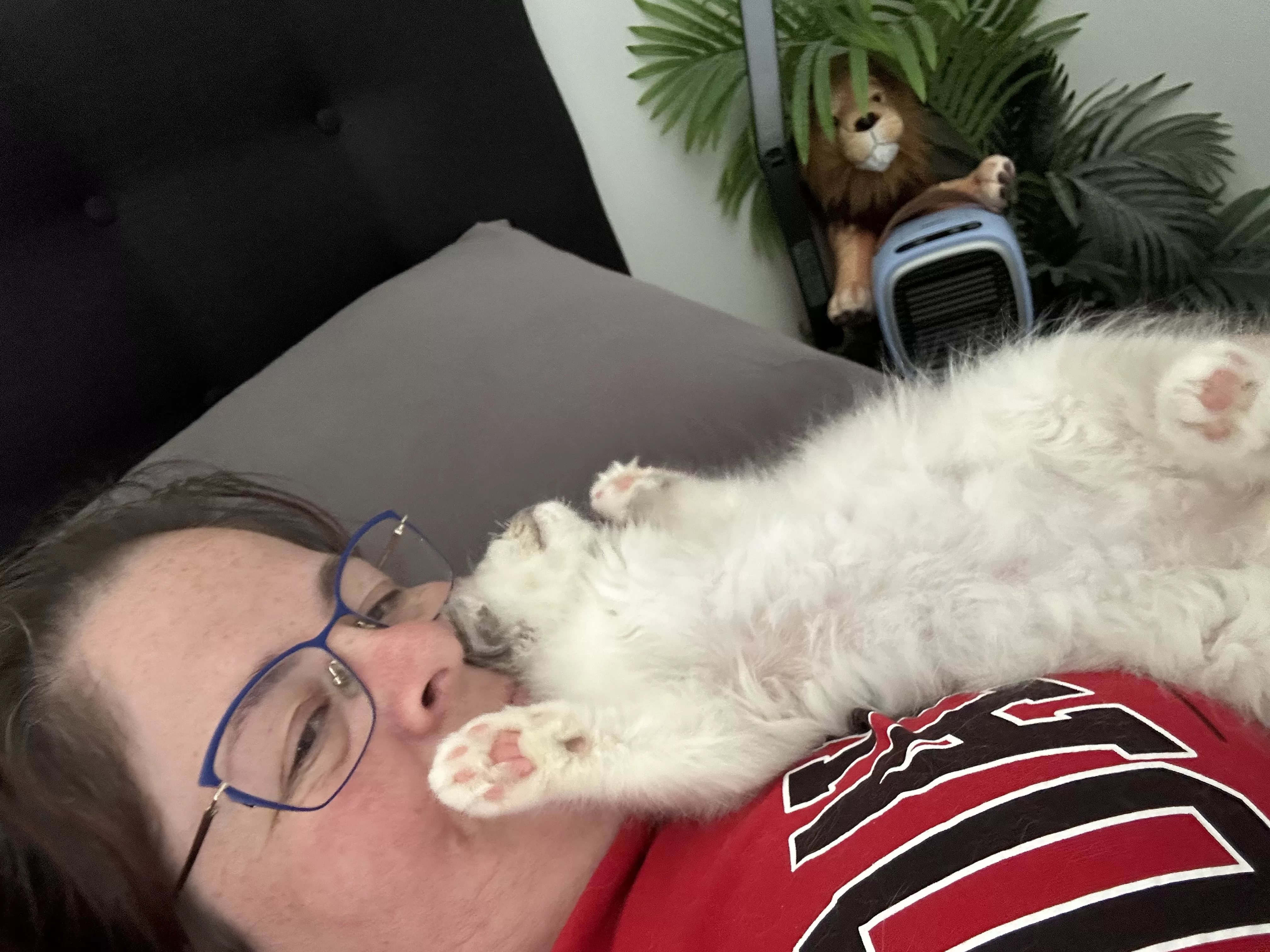 queens gallery image