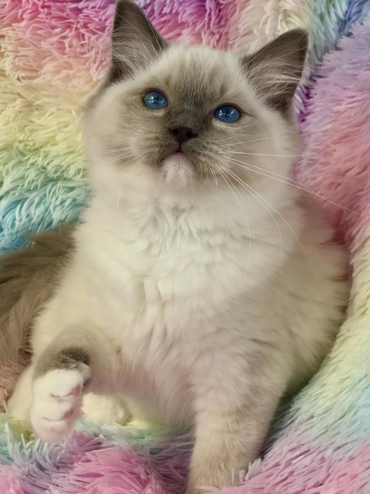 queens gallery image