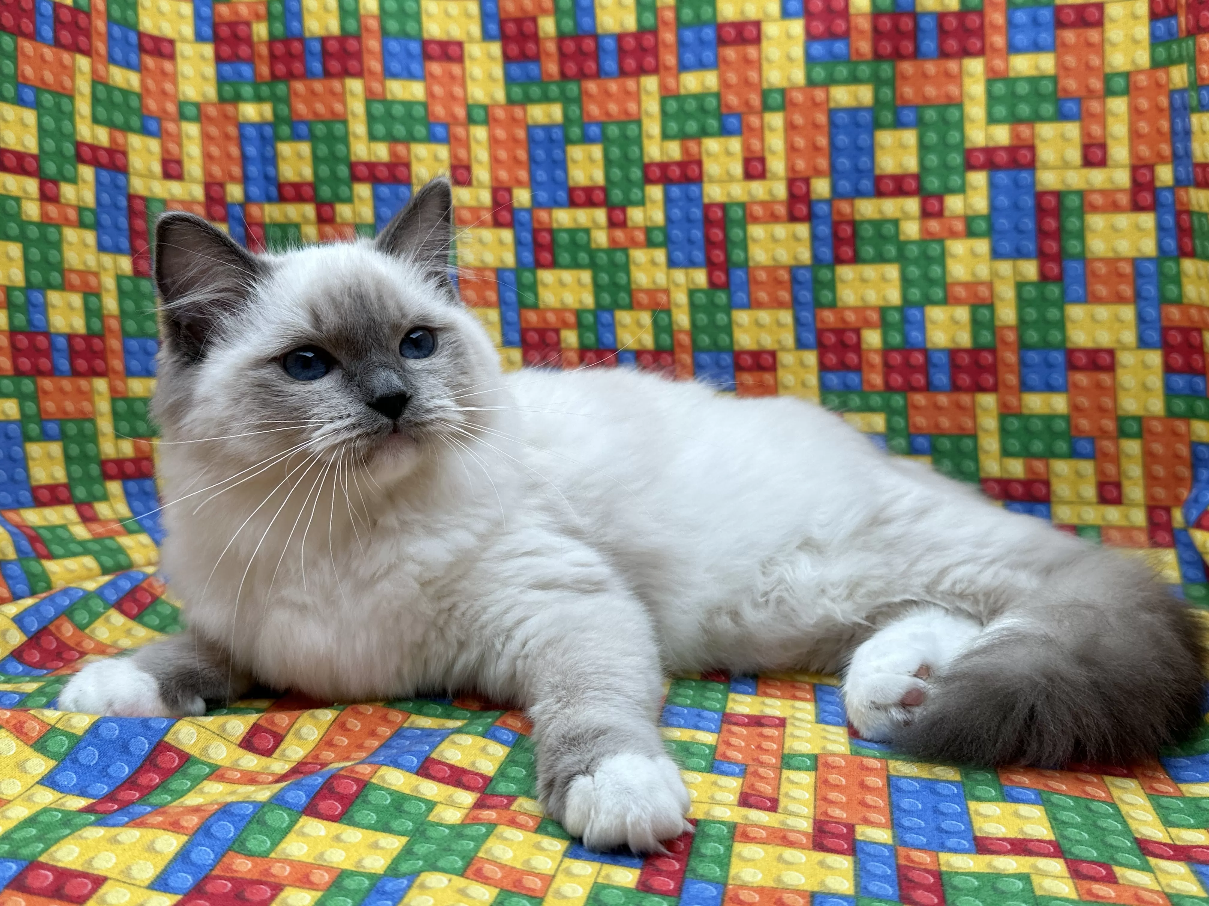 queens gallery image