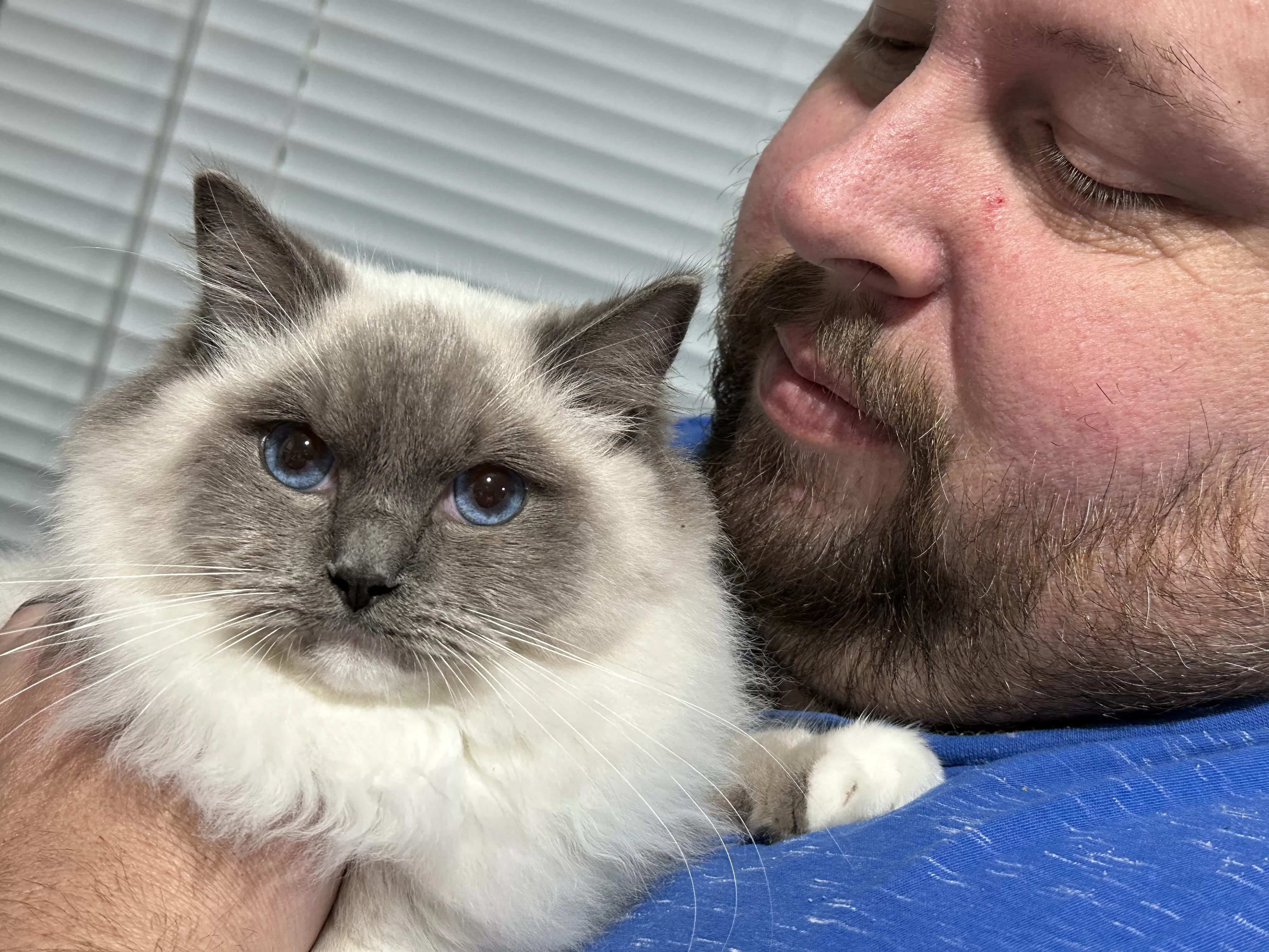 queens gallery image