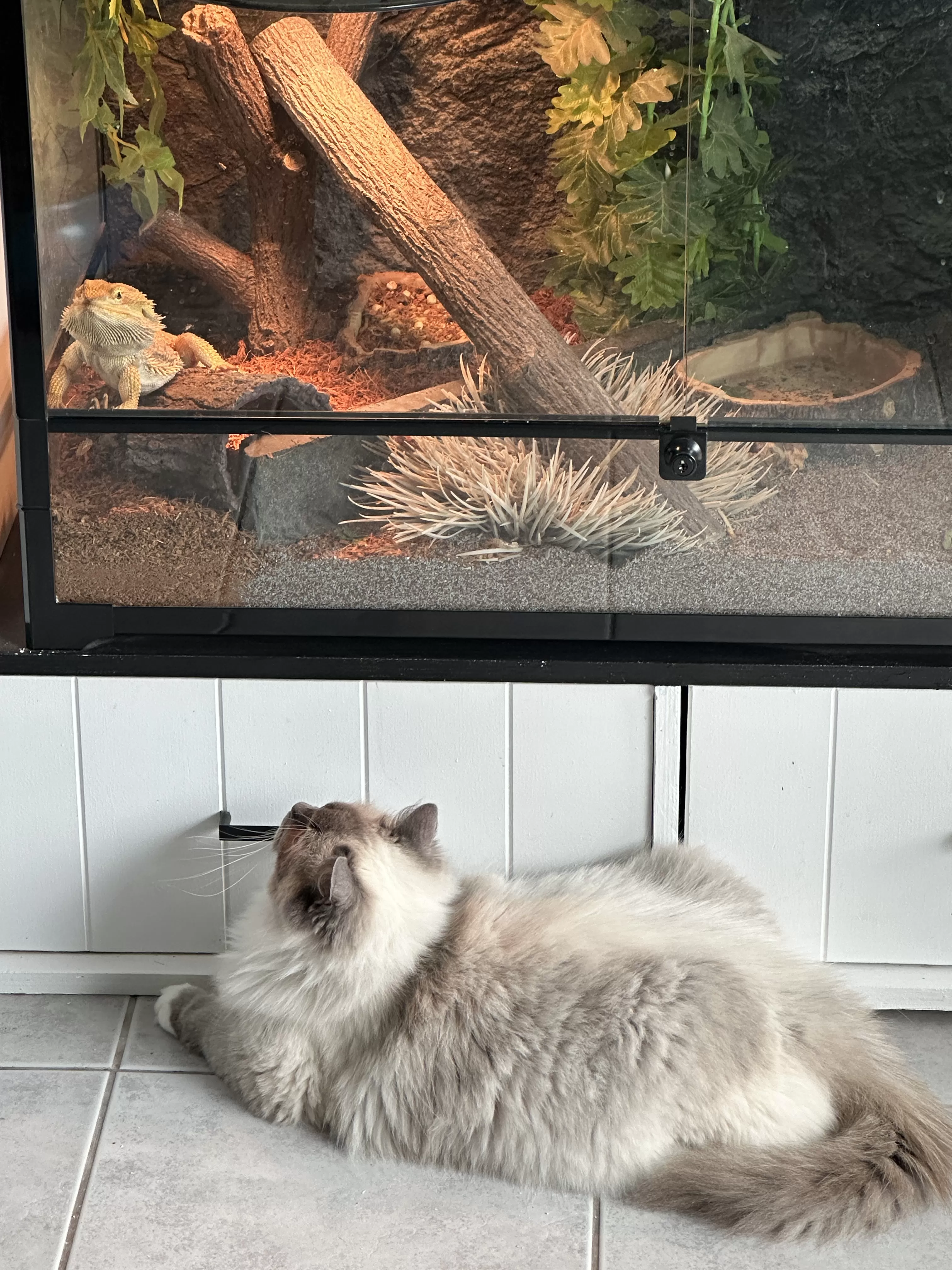 queens gallery image