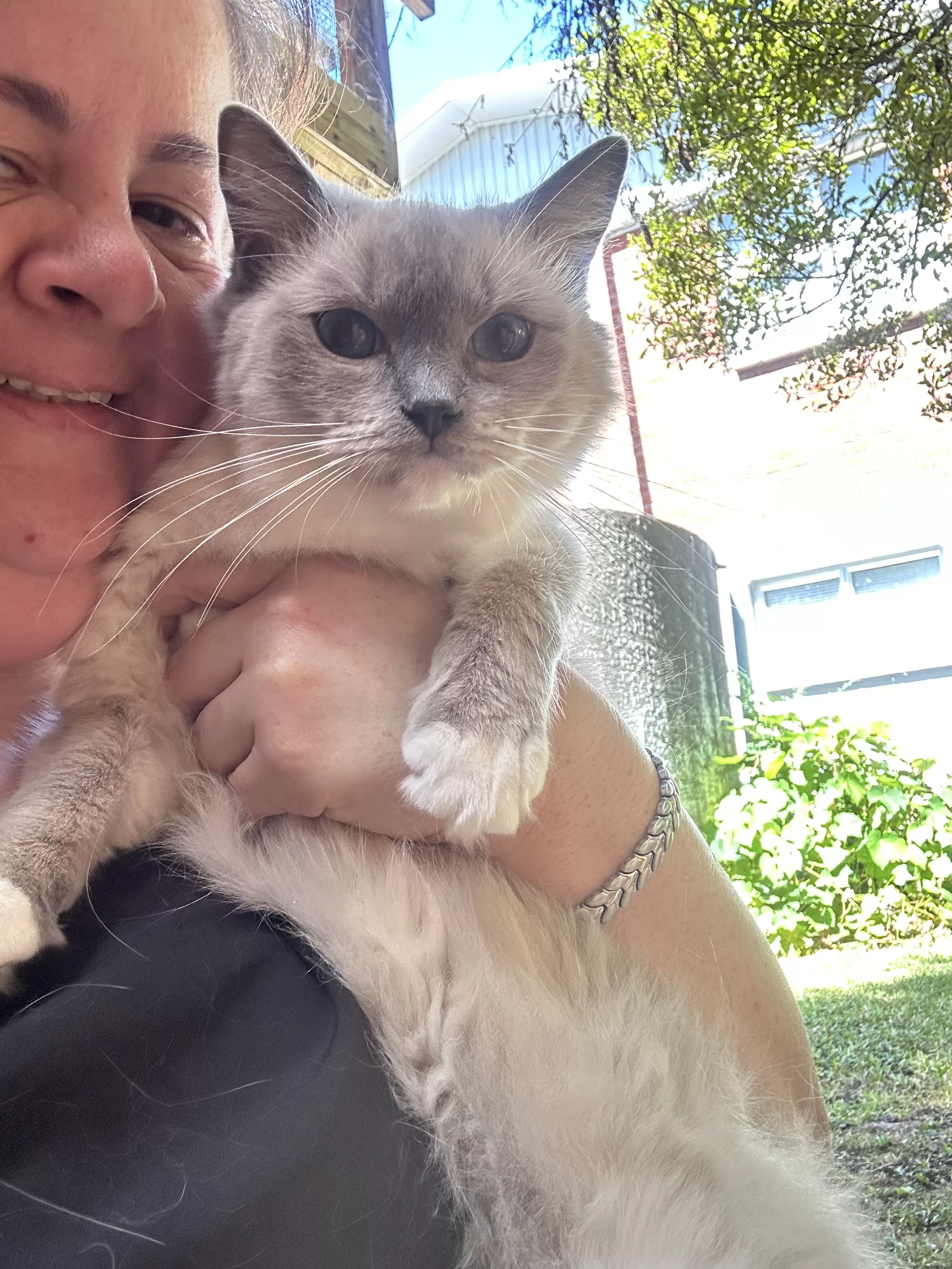 queens gallery image