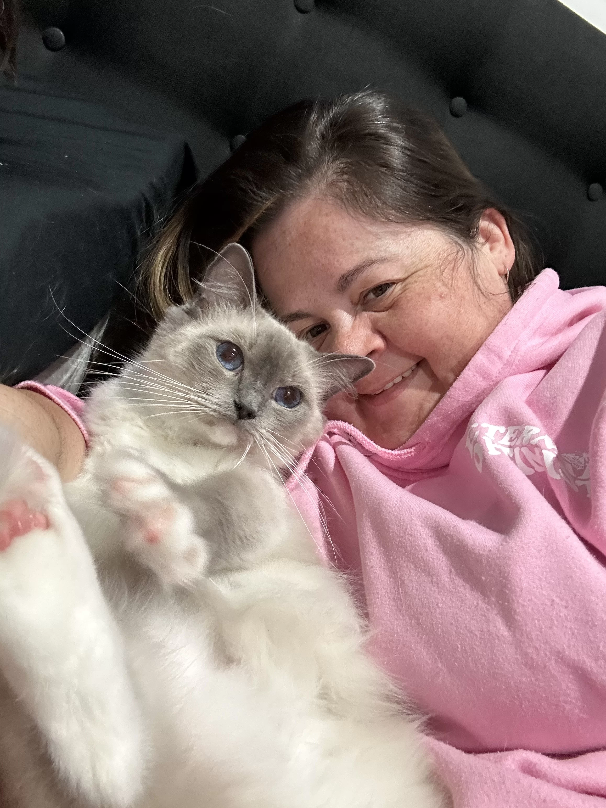 queens gallery image