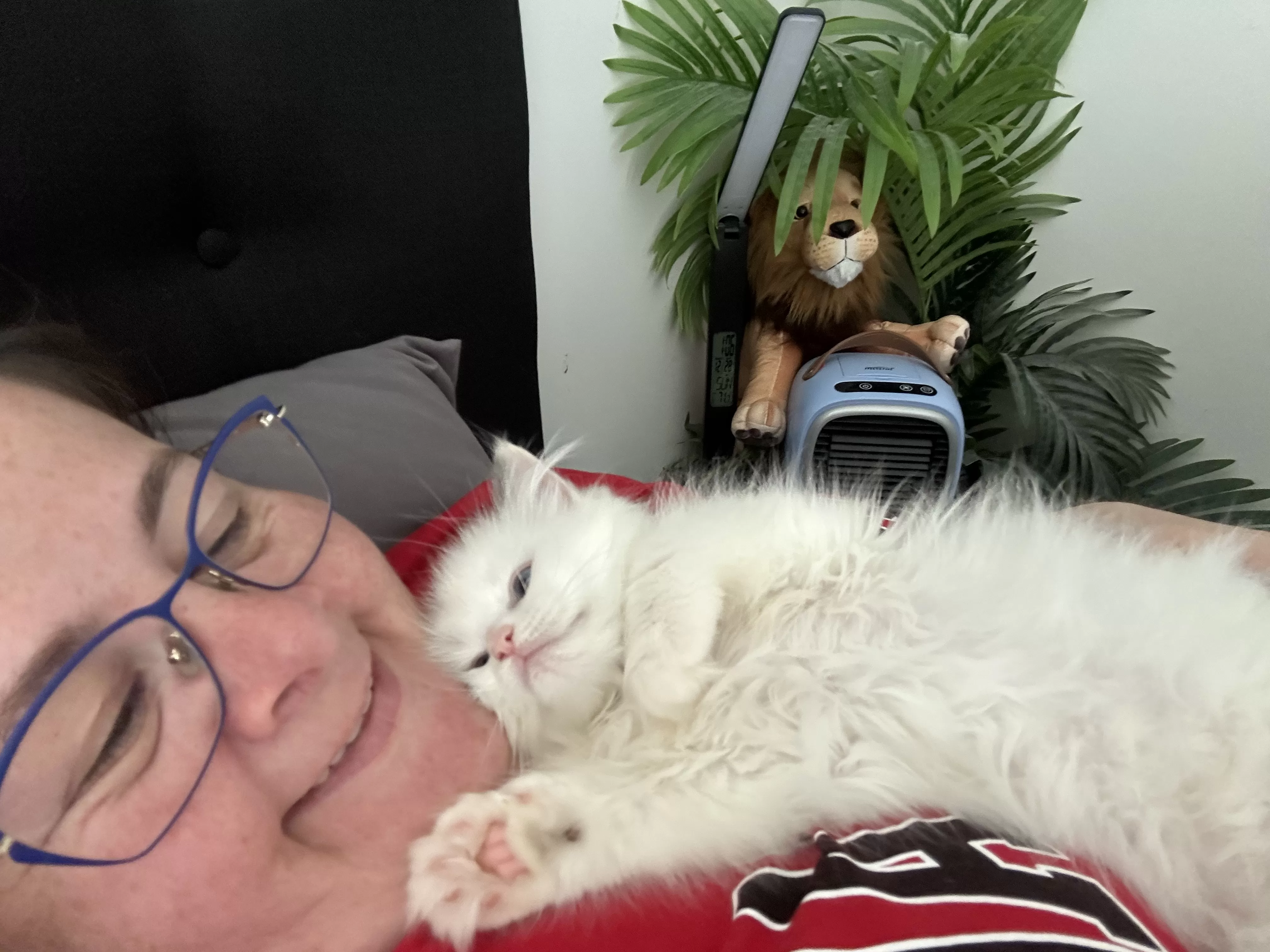 queens gallery image