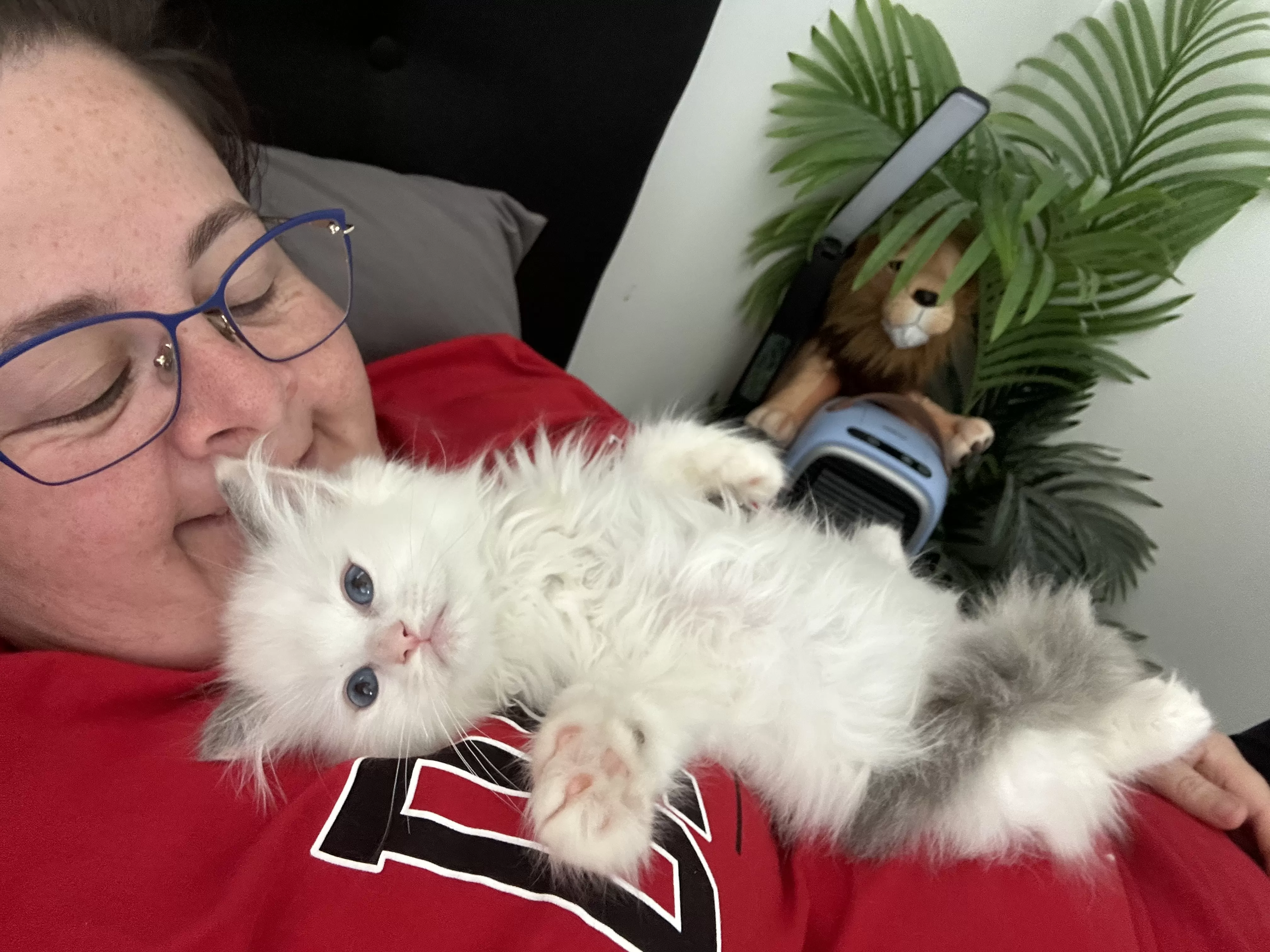 queens gallery image