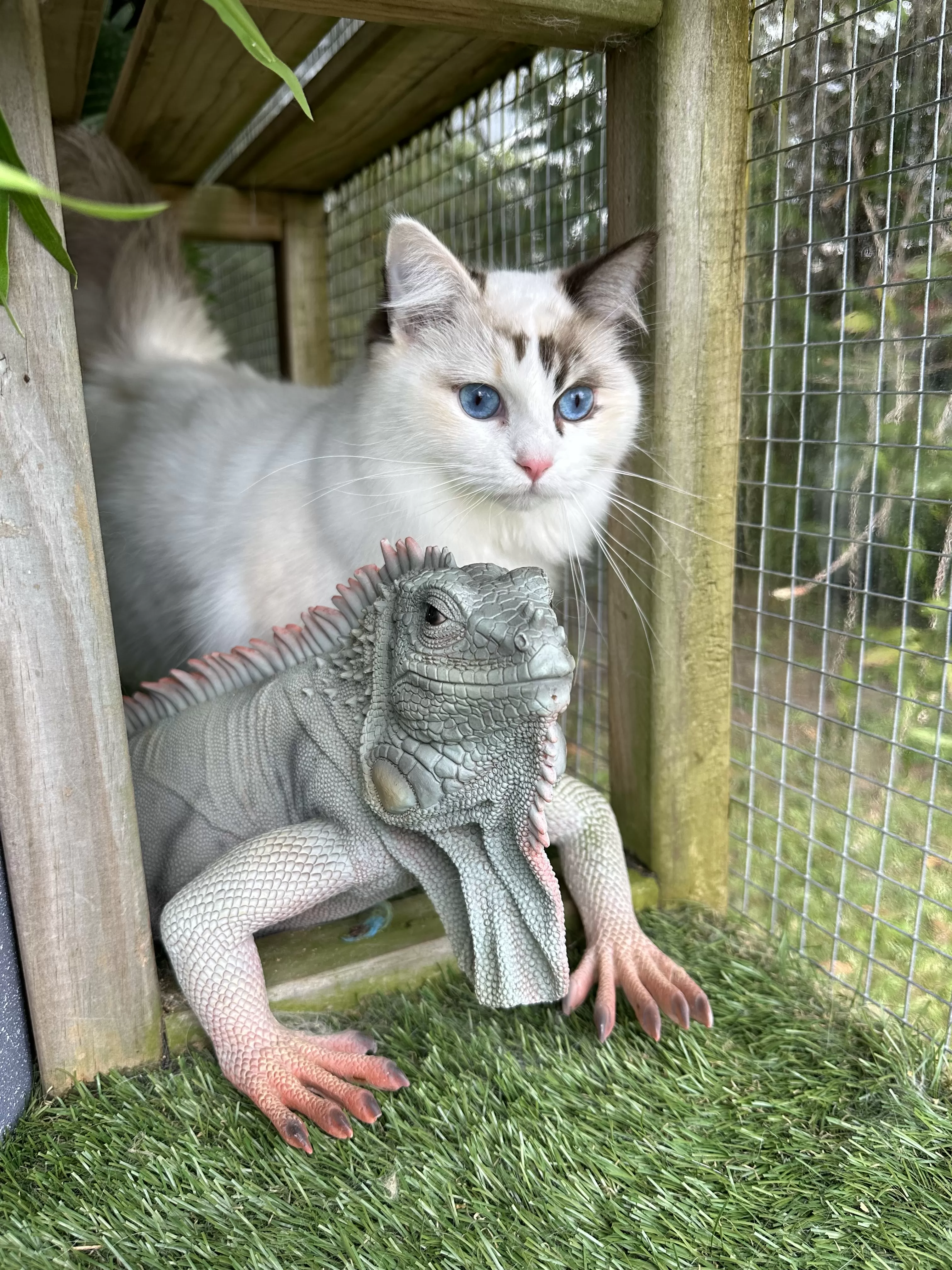 queens gallery image