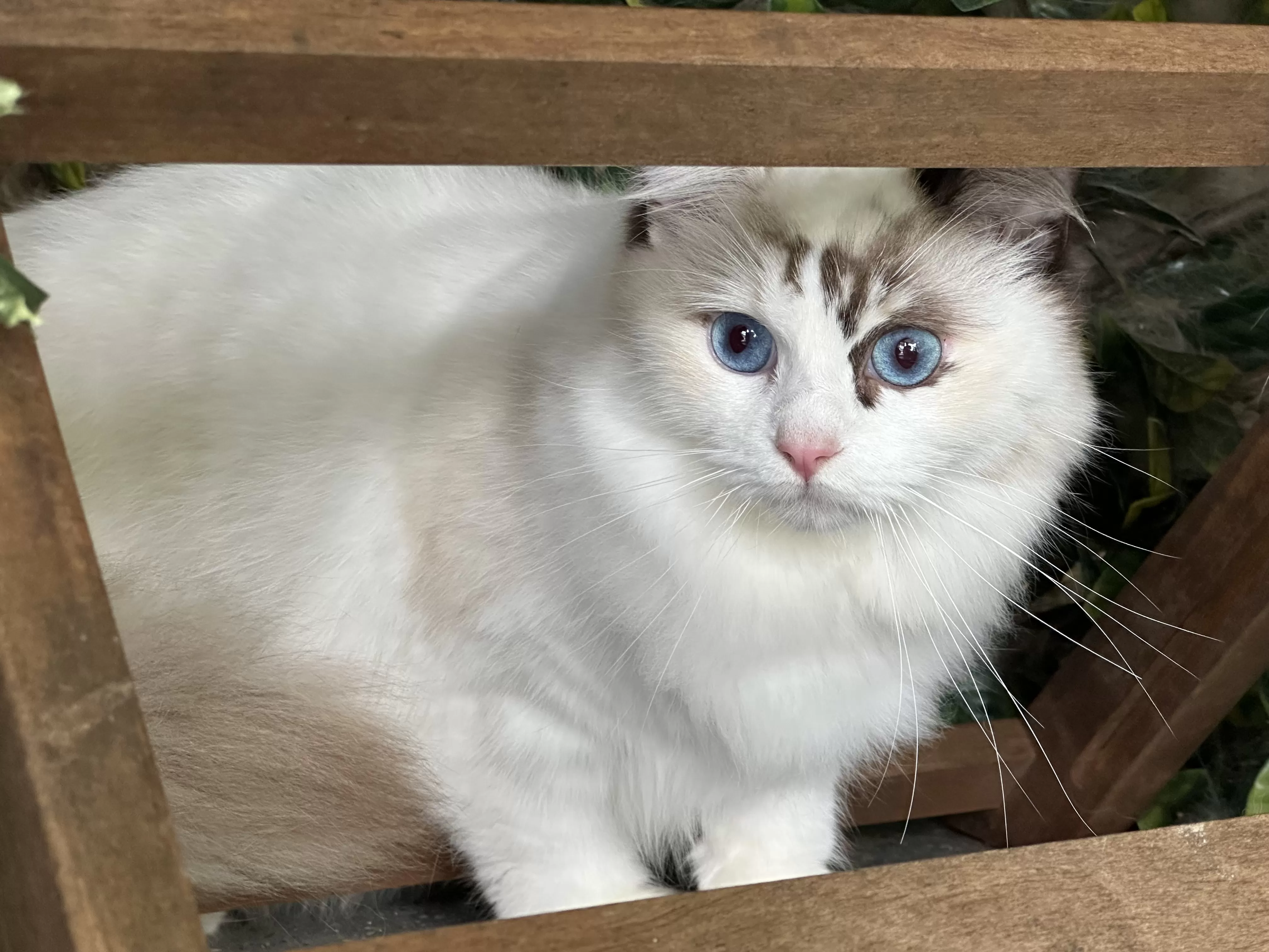 queens gallery image