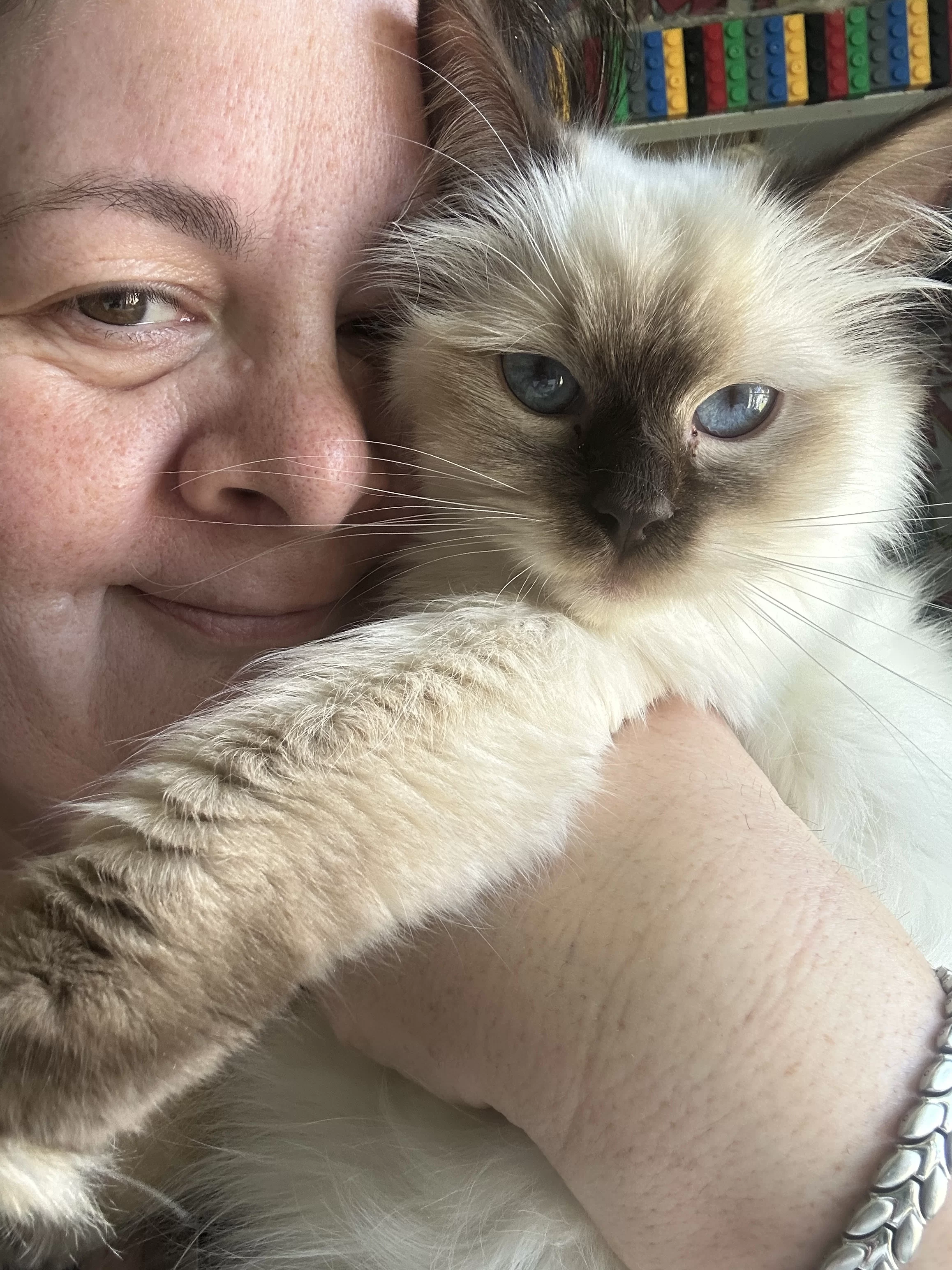 queens gallery image