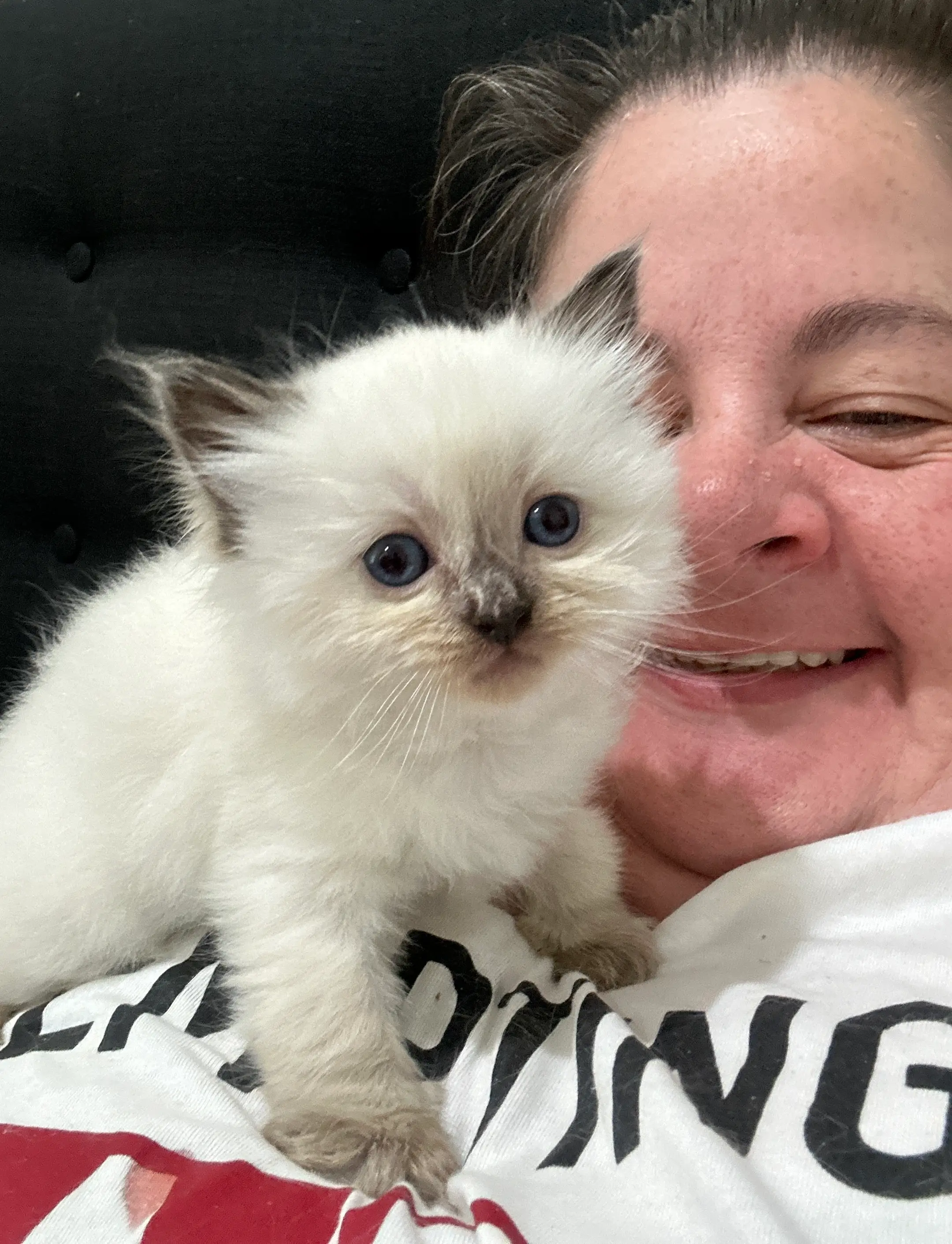 queens gallery image