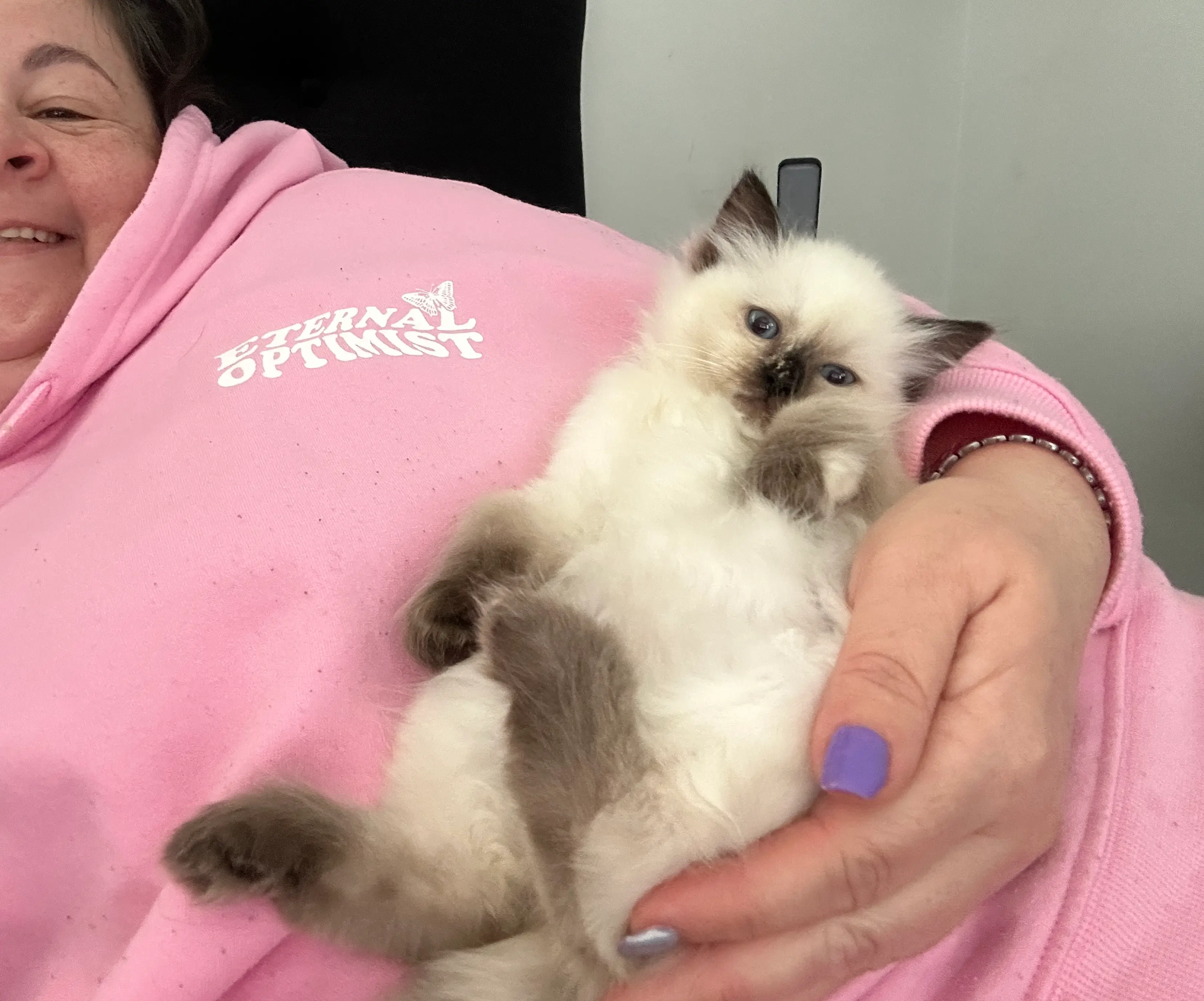 queens gallery image