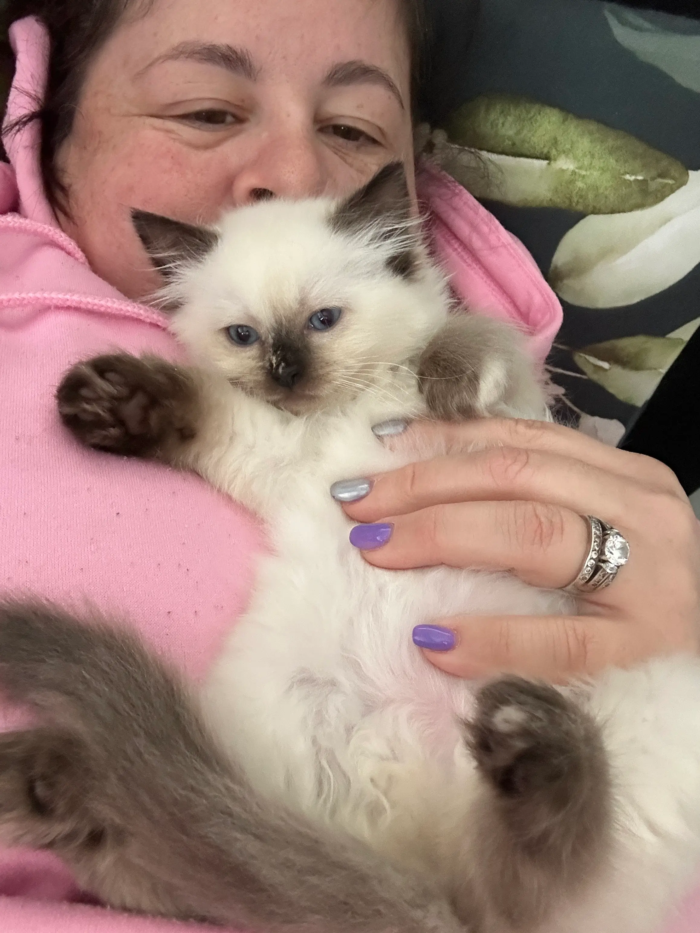 queens gallery image