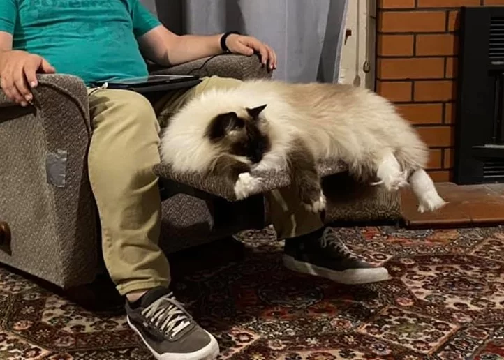 Ragroyalty Prince Hunter