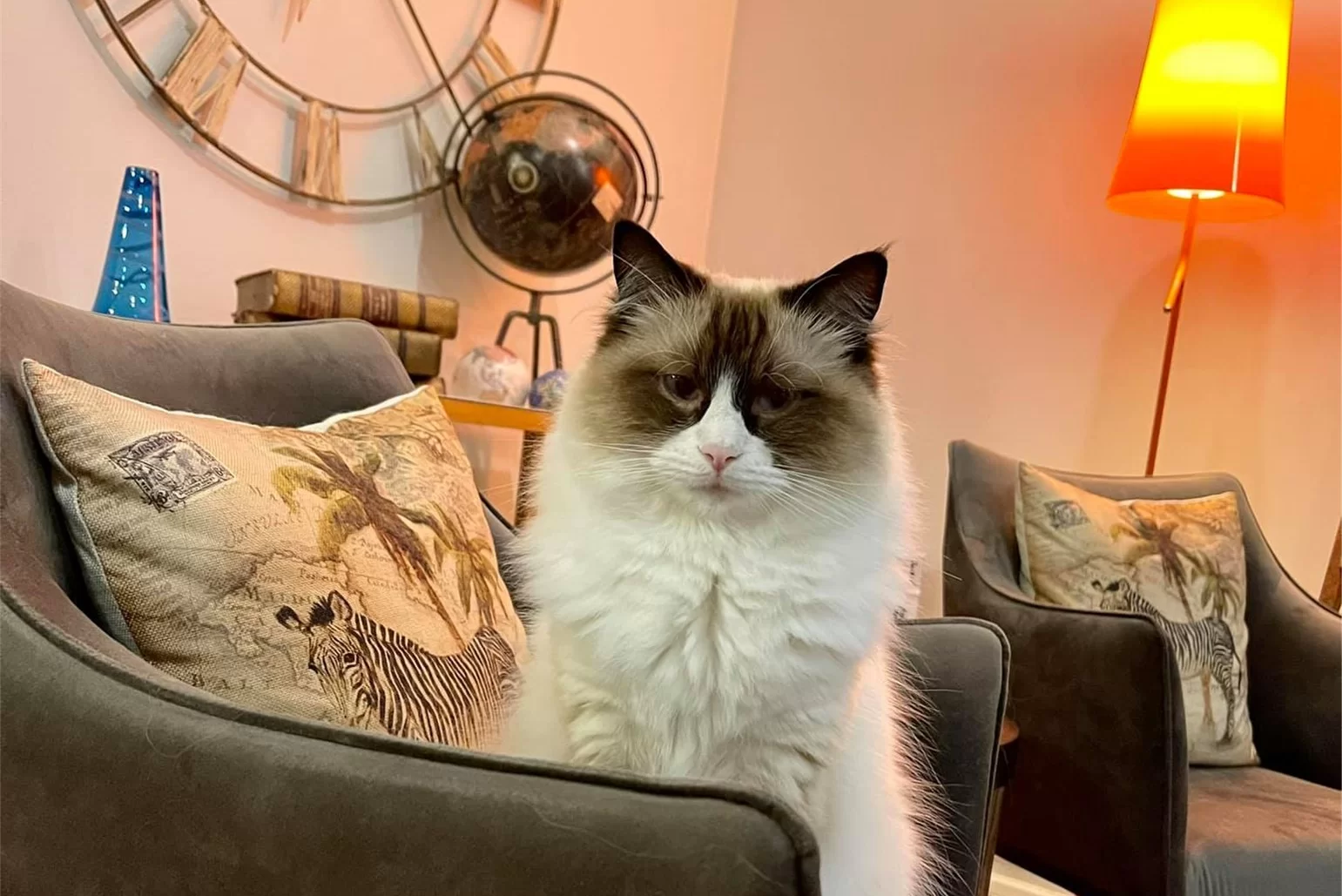 Ragroyalty Prince Jax