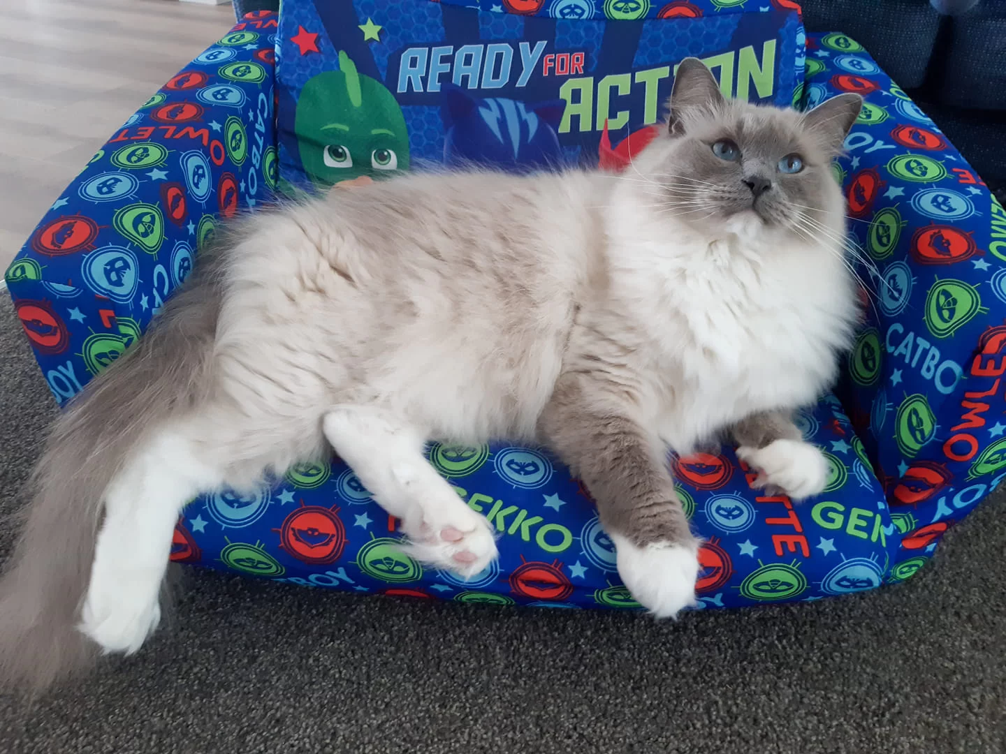 Ragroyalty Prince Oakley